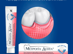 Метрогіл Дента гель туба 20г