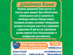 Нестожен 4 суміш молочна з лактобактеріями 600г (2х300г) з 18міс